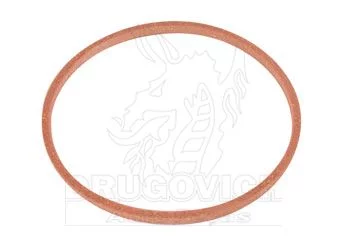 JUNTA FLANGE SEMI EIXO TODOS - USIFORTE