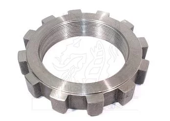 PORCA CUBO CARR NOMA MODERNA - DRUGOVICH