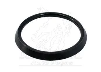 ANEL VED FLANGE DIF EV72/87,CTN372 - DT