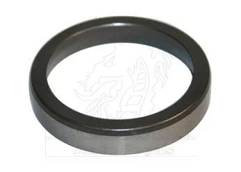 SEDE VALV ESC OM447,449 - RIOSULENSE