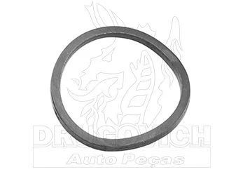 ARRUELA FIXAÇÃO ROLAMENTO ALAVANCA CÂMBIO P,G,R,T - DRUGOVICH