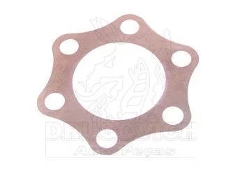 LÂMINA ACOPLAMENTO BOMBA INJETORA HW,113 - USIFORTE