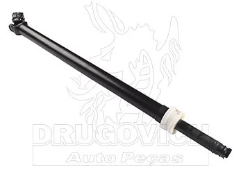 COLUNA DIREÇÃO PGR - DRUGOVICH