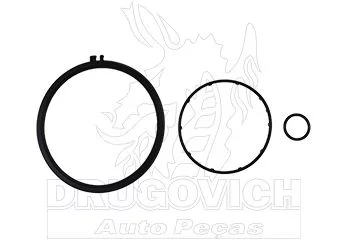 REPARO SEPARADOR ÓLEO P,G,R,S - DRUGOVICH