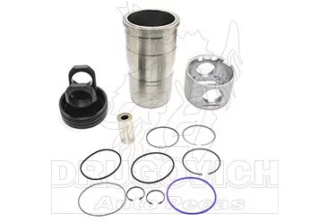 KIT MOTOR D12C,D12D,B12,FM12,NH,FH12 - DRUGOVICH