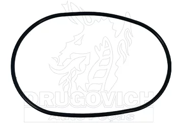 JUNTA CARCAÇA VÁLVULA TERMOSTÁTICA - NTG - DRUGOVICH